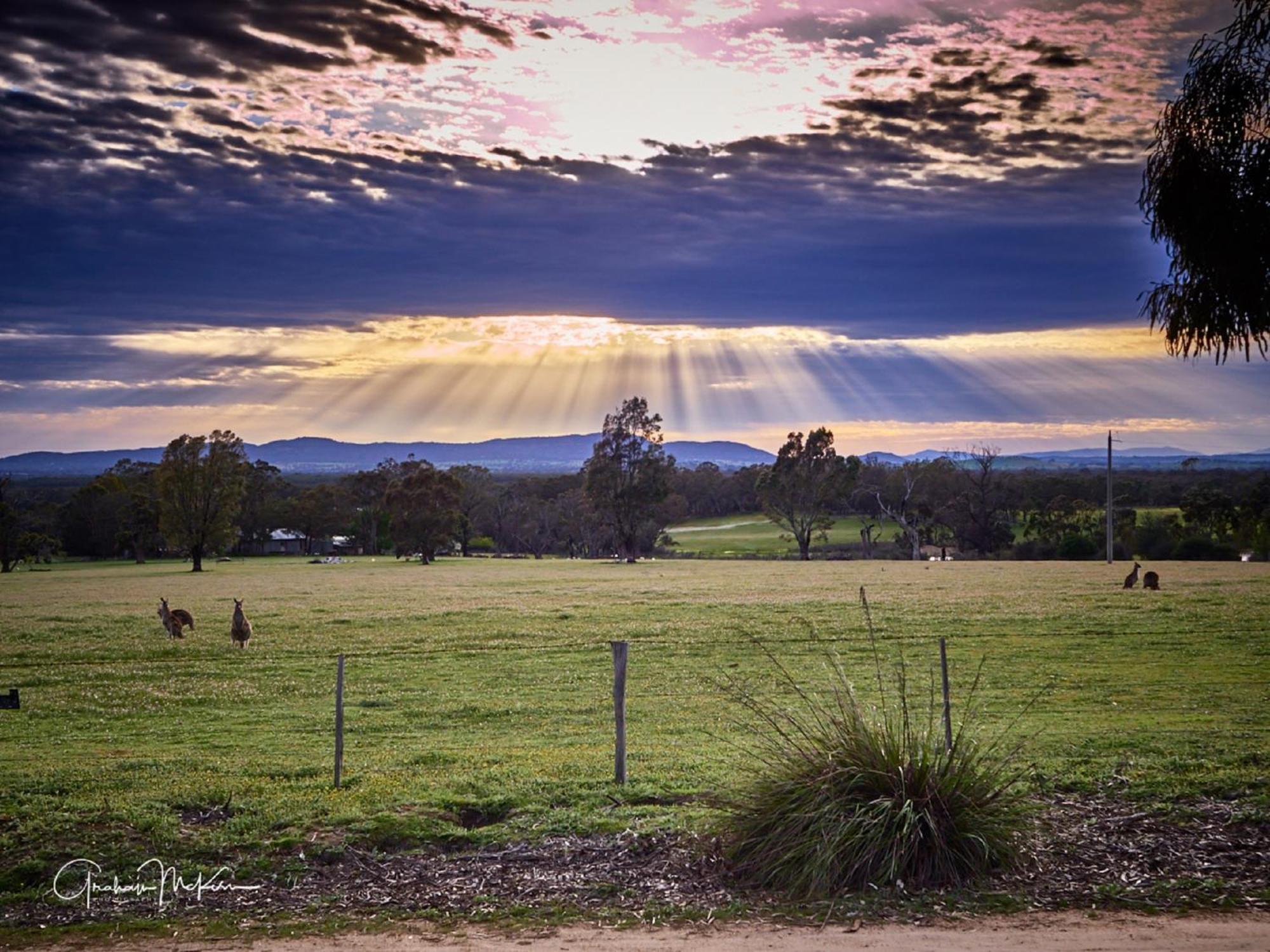 Grampians Pioneer Cottages ฮอลส์แกป ภายนอก รูปภาพ