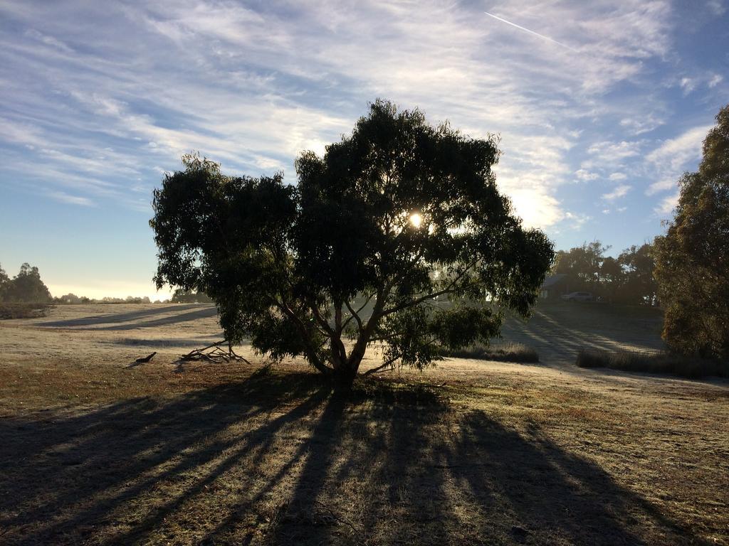Grampians Pioneer Cottages ฮอลส์แกป ภายนอก รูปภาพ