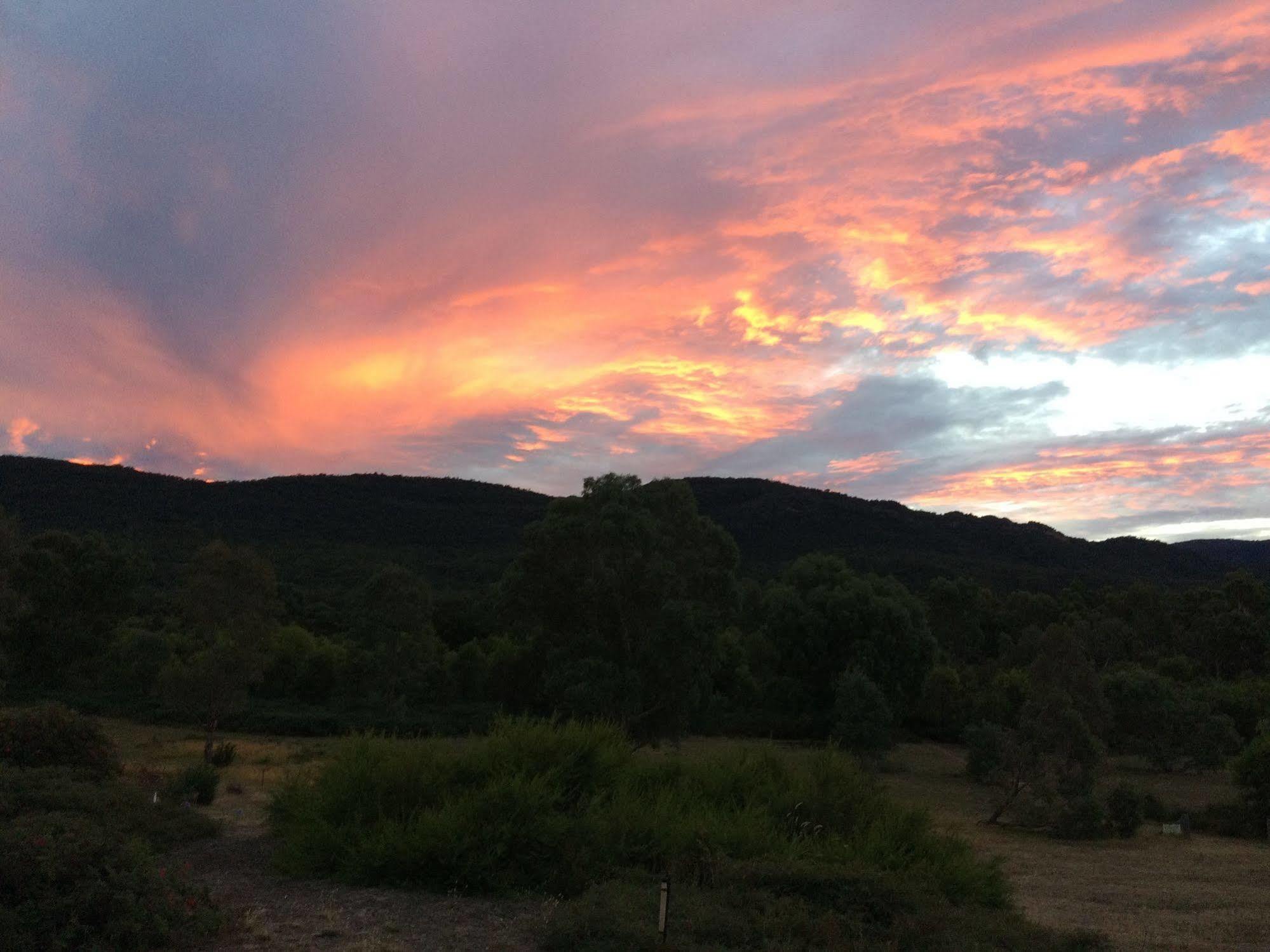 Grampians Pioneer Cottages ฮอลส์แกป ภายนอก รูปภาพ