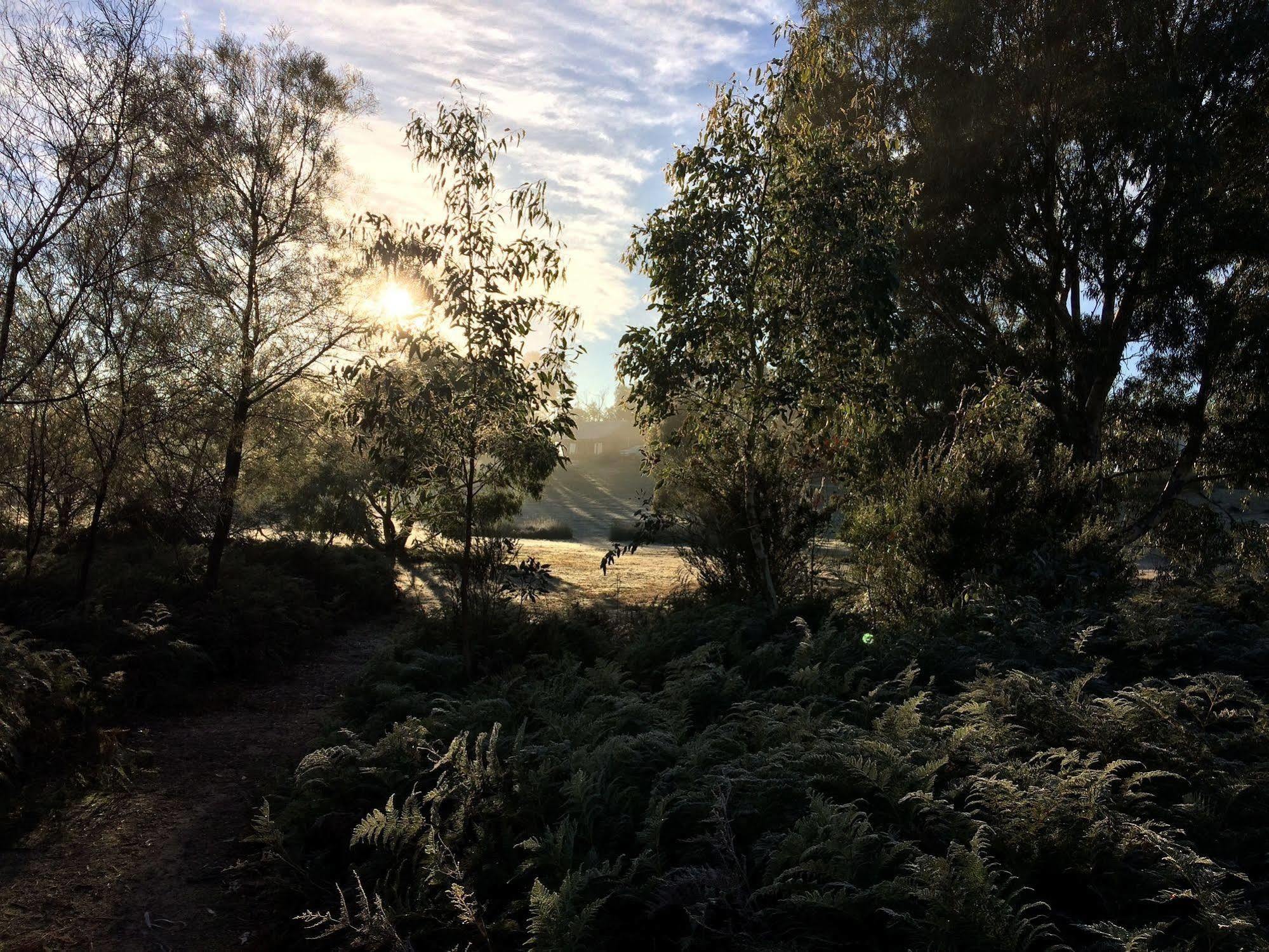 Grampians Pioneer Cottages ฮอลส์แกป ภายนอก รูปภาพ