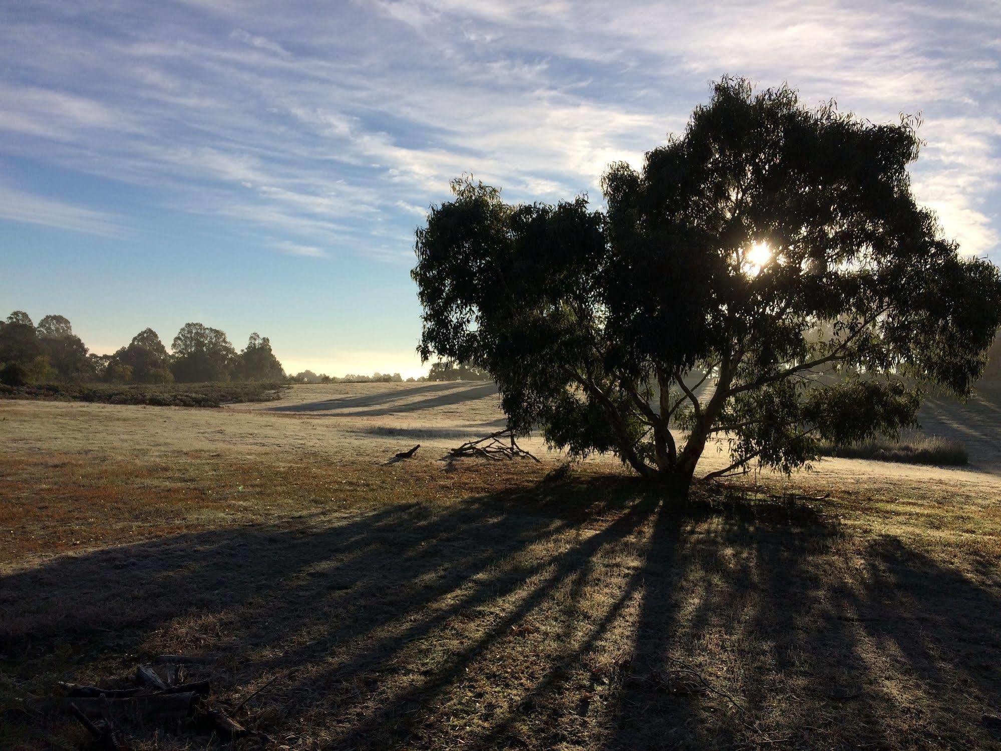 Grampians Pioneer Cottages ฮอลส์แกป ภายนอก รูปภาพ